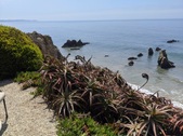 Enlarge photo 48