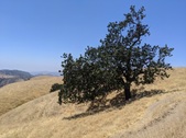 Enlarge photo 31