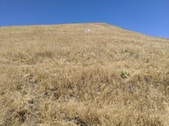 Enlarge photo 33