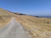 Enlarge photo 37