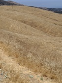 Enlarge photo 39
