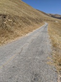 Enlarge photo 41