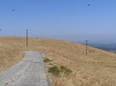 Enlarge photo 45