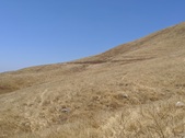 Enlarge photo 47