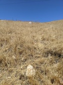 Enlarge photo 48