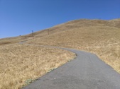 Enlarge photo 51