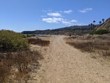 Enlarge photo 32