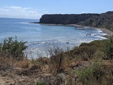 Enlarge photo 36