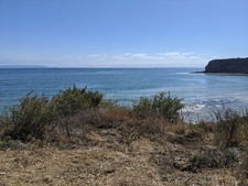 Enlarge photo 37