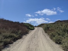 Enlarge photo 40
