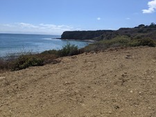 Enlarge photo 41