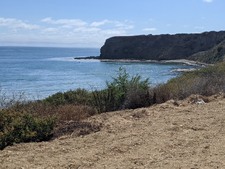 Enlarge photo 42