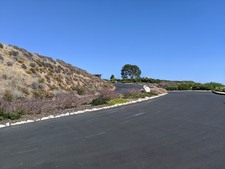 Enlarge photo 48