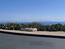 Enlarge photo 62