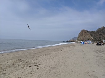 Enlarge photo 11