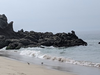Enlarge photo 19