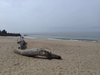 Enlarge photo 28