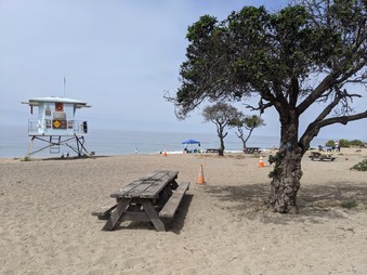 Enlarge photo 31
