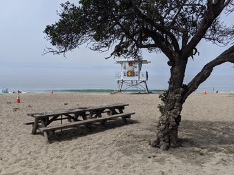 Enlarge photo 32