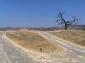 Enlarge photo 59