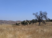 Enlarge photo 61