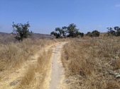 Enlarge photo 26
