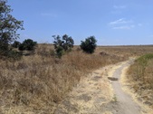 Enlarge photo 27
