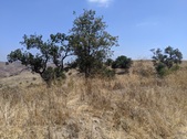 Enlarge photo 28