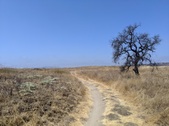 Enlarge photo 29