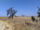 Enlarge photo 30