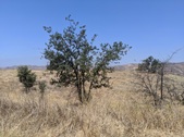 Enlarge photo 31