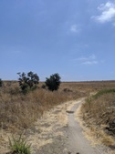 Enlarge photo 33