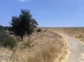 Enlarge photo 34