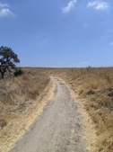 Enlarge photo 35