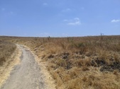 Enlarge photo 36