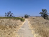 Enlarge photo 37