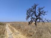 Enlarge photo 38