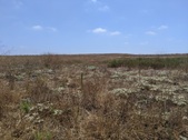 Enlarge photo 39