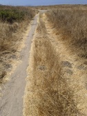 Enlarge photo 41