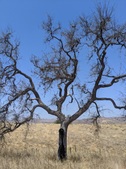 Enlarge photo 42