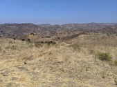 Enlarge photo 43