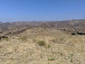 Enlarge photo 45
