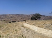 Enlarge photo 46