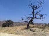 Enlarge photo 47