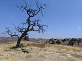 Enlarge photo 48