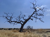 Enlarge photo 50