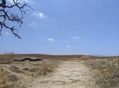 Enlarge photo 51