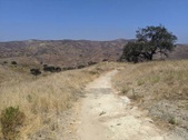 Enlarge photo 52