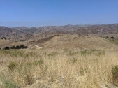 Enlarge photo 53