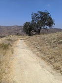 Enlarge photo 54